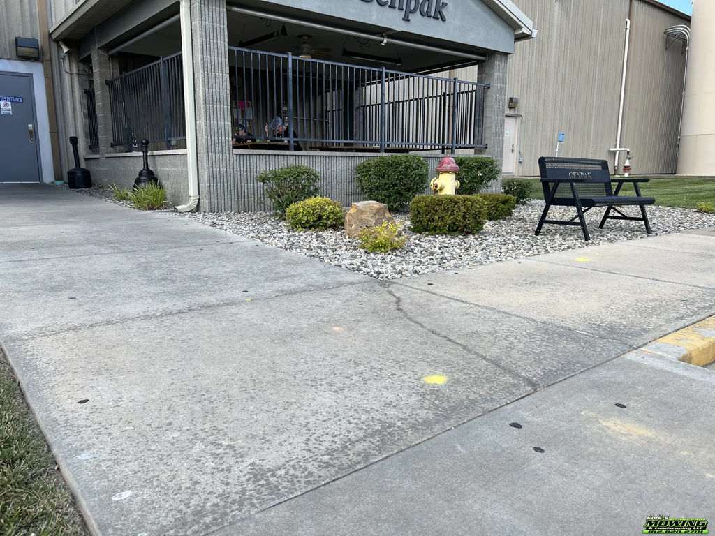 Professional mowing and edging